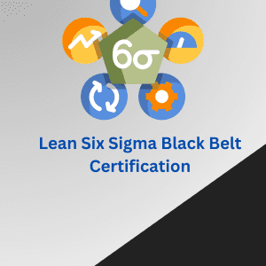 Lean Six Sigma Black Belt training instructor explaining DMAIC process to professionals in an online class
